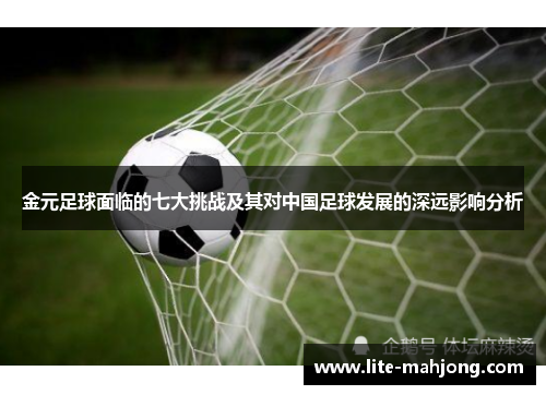金元足球面临的七大挑战及其对中国足球发展的深远影响分析 金元足球面临的七大挑战及其对中国足球发展的深远影响分析