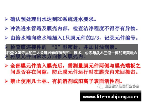 韩莹女单夺冠的三大关键因素深度剖析:技术、心态与战术三位一体的完美融合 韩莹女单夺冠的三大关键因素深度剖析:技术、心态与战术三位一体的完美融合
